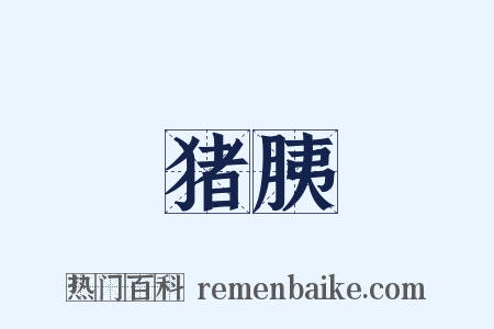 猪胰是什么意思的图片